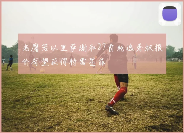 老鹰若以里萨谢和27首轮选秀权报价有望获得特雷墨菲