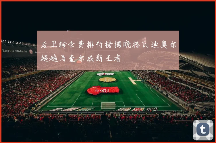 后卫转会费排行榜揭晓格瓦迪奥尔超越马奎尔成新王者