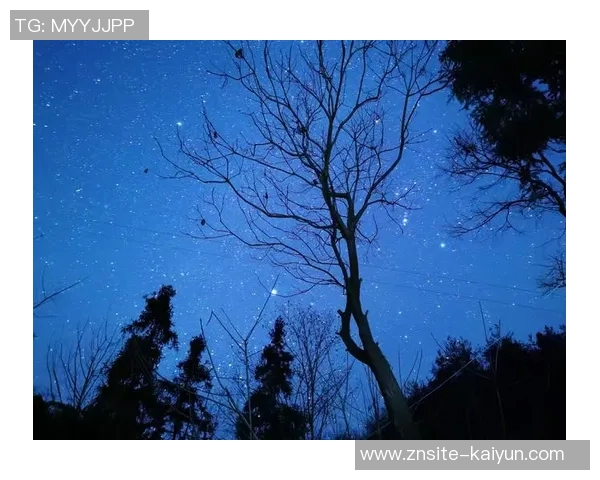 平静的圣诞夜没有惊喜与喧嚣让人感受到宁静的节日氛围